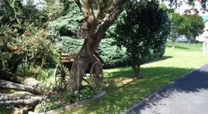 Dargaville Motel - Image 4