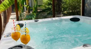 Un petit bout de Louisiane chambre d'hôtes avec Piscine et Petit Déjeuner - Image 4