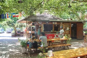 Olympos Orange - Image 5