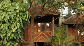 Sandra eco - Image 5