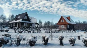 Domki Osada Werdołyna - Image 5