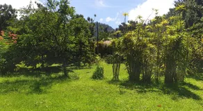 Ti Kwen Glo Cho - Image 3
