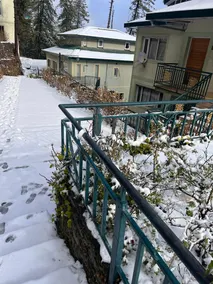 Alpine haven Luxury spacious 2BHK Flat in Mashobra - Image 5