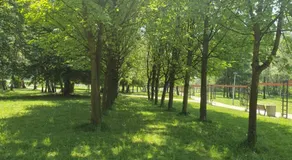 Apartament Daria - Image 5