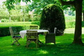 B&B De Hulst - Image 4