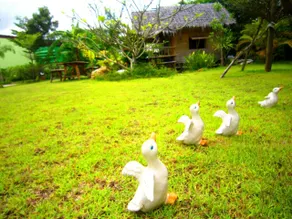 Pran Heaven Resort - Image 5
