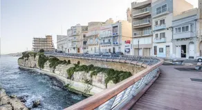Pepprina - Image 5