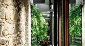 Moss Hotel - Image 5