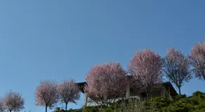 La Locanda di Valbella - Image 5