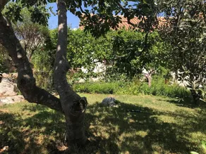 Apartment Ružica A3 Lukoran, Island Ugljan - Image 2