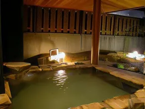 Small Lakeside Inn Kaigasou - Image 4