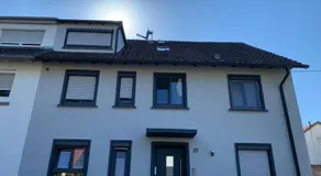 Greenhome - Image 4