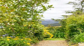 3 Hills at The Good Place - Image 5