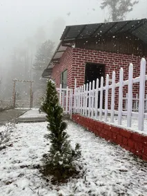 JijiVisha Shimla - Image 2