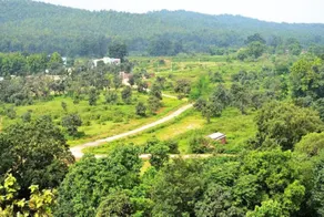 Akash Hilltop Resort (Purulia,WB) - Image 5
