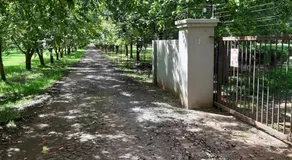 Green Willows Guest House - Image 5