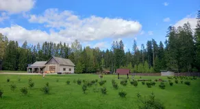Vastseliina Metskond Camping - Image 3