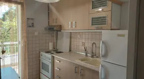 LENIA - Image 3