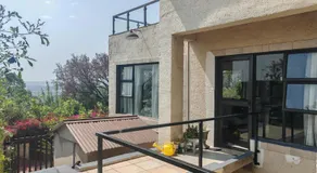 House Olive - Image 5