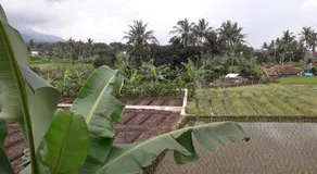 Homestay Ayuning Kuningan - Image 5