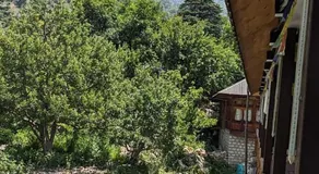 Apple Grove - Image 5