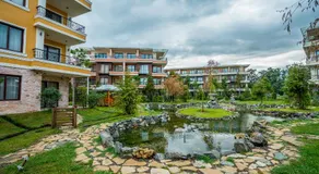 Dream Land Oasis - Image 5