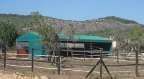 Finca Can Jan - Image 4