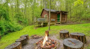 Blue Rose Cabins - Wildwoods Cabin - Image 4