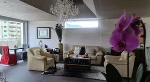 Amelia - Image 3