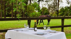 Guest house in Somersby - Image 5