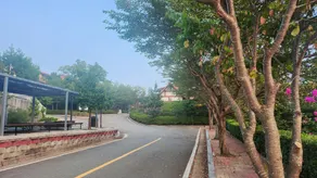 보성녹차리조트 - Image 5