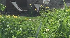 B&B CM Ranch - Image 4