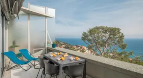 Le COQ Splendide vue - Beautiful pool - Parking - Image 3