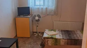 House for Guests and Friends - Image 4