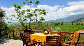 Guesthouse Apanemia - Image 4
