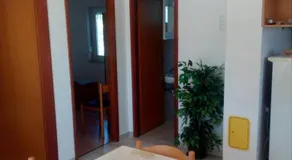 Apartments Irena - Image 5