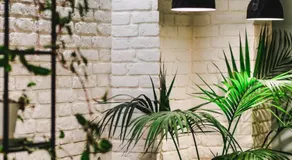 Hotel Alpha - Image 4
