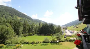 Pension Hubertushof beim Römerbad - Image 3