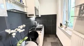 Cozy 1 room apartment in Zug - Image 4
