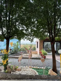 POLO LION RESORT POLO FOREST - Image 3