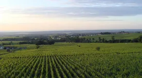 Chambres d hôtes au Domaine de Robert - Image 2