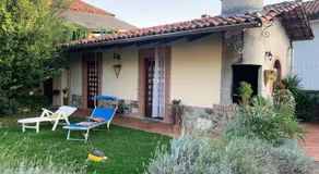 Bouganville - Image 4
