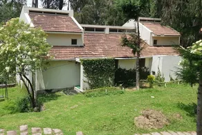 Ulo Woodys - Image 3