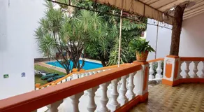 Palmas - Image 4