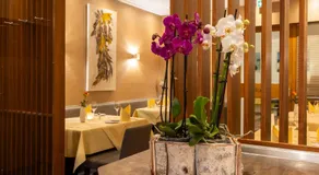 Hotel Schaper - Image 4
