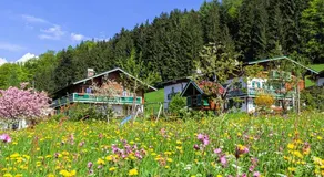 Haus Michinglehen - Image 5