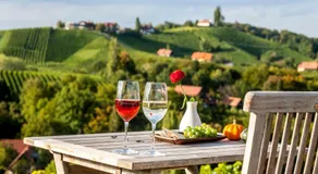 Familienorientiertes tolles Ferienhaus mit Garten, Terrasse und Grill | Perfekt für die Arbeit von Zuhause - Image 4