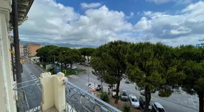 Spring - Image 5