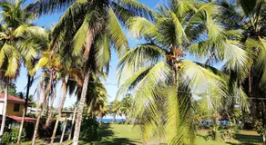 Hospedaje Meryscar - Image 5