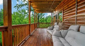 New Listing - Dollywood - HotTub - Arcade - Grill - Image 5